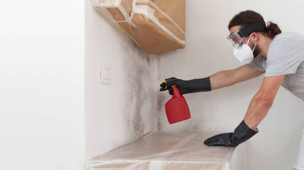 Professional Crawl Space Mold Removal technician working in Fort Lee, NJ