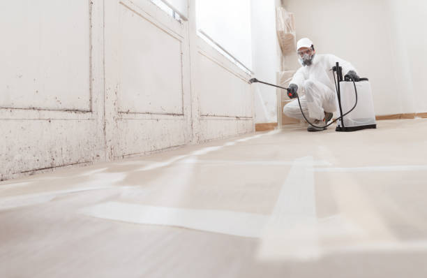 24/7 Emergency Crawl Space Mold Removal experts in Fort Lee, NJ